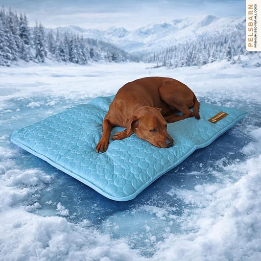 Pelsbarn Dog Cooling Mat- Ice Silk Summer Comfort, Self Cooling, Non-Slip Dog Pad, Durable & Washable, Mat for Large Dogs 25 x 37, Support Shelter Dogs with Every Purchase (Blue)