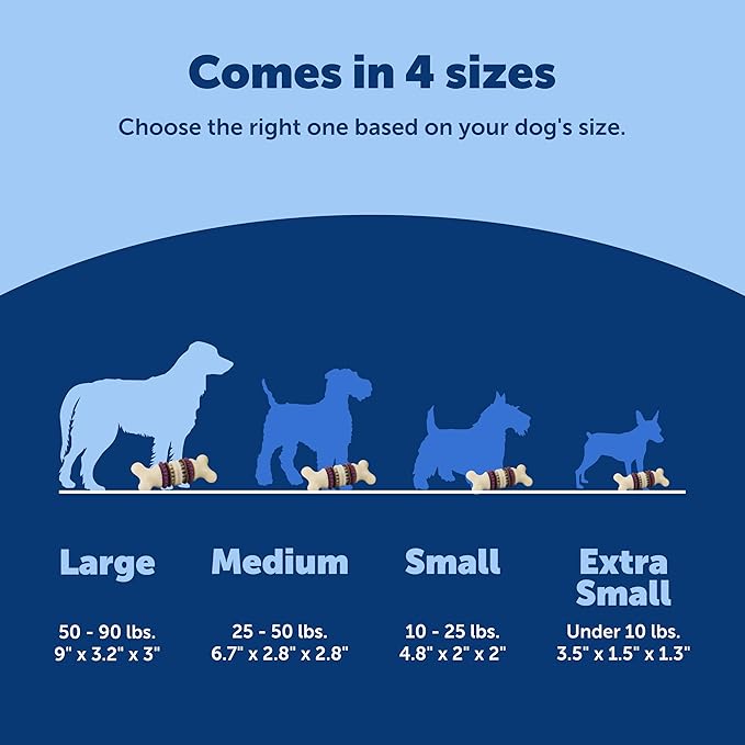 PetSafe Busy Buddy Bristle Bone, Large, Helps Keep Your Dog's Teeth Clean, Long-Lasting Playtime