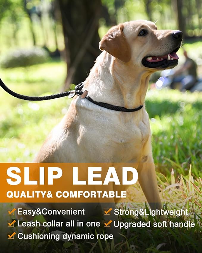 lynxking Dog Leash Slip Lead 5 6 8 FT Dog Training Leash Strong Heavy Duty Braided No Pull Training Lead Leashes for Small Medium Large Dogs