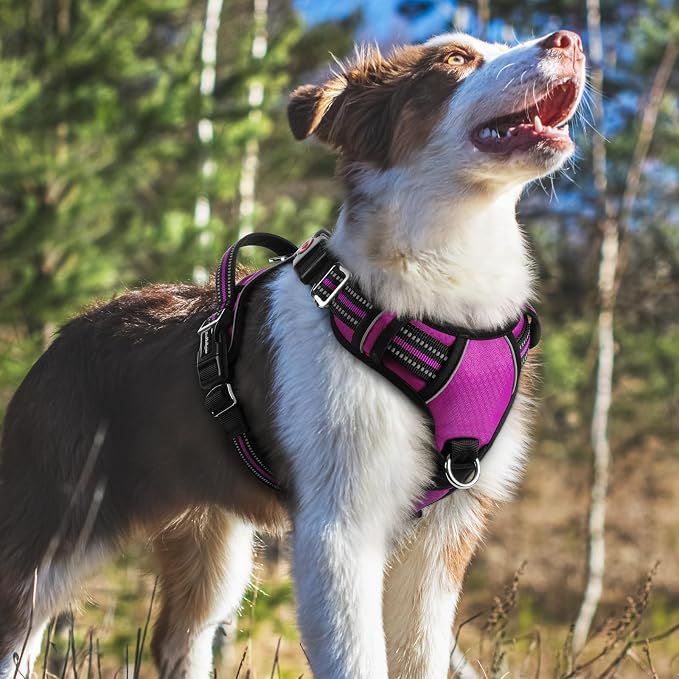 rabbitgoo Dog Harness Medium Sized, 3 Buckles Easy On & Off No Pull Pet Vest, Soft Padded Walking Pet Harness with Control Handle, Adjustable and Reflective, Purple, M