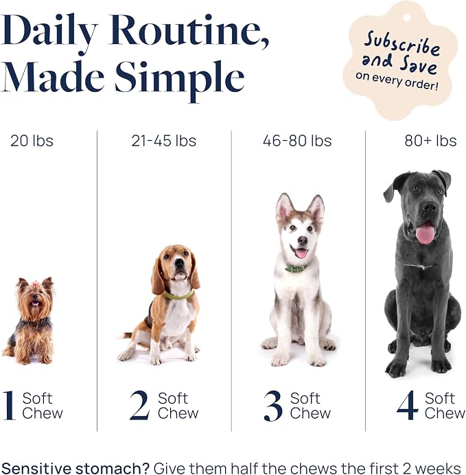 Veterinary Formula Smart Vitality Senior Support Dog Supplements 60ct – Senior Dog Vitamins to Help Promote Mobility, Hip & Joint, Immune Health – Dog Multivitamin with Glucosamine and Chondroitin