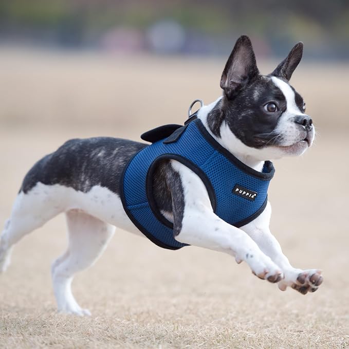 PUPPIA International Puppia Harness Soft B Vest Royal Blue Large