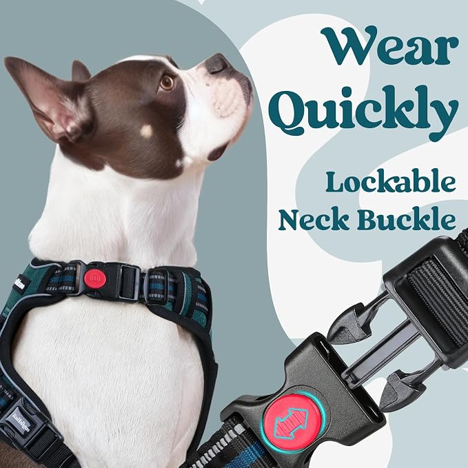 rabbitgoo Dog Harness Small Sized, No Pull Easy On & Off with 3 Buckles Pet Harness, Adjustable Soft Walking Vest with 2 Clips and Handle, Reflective for Small Dogs, Blue Coral, S