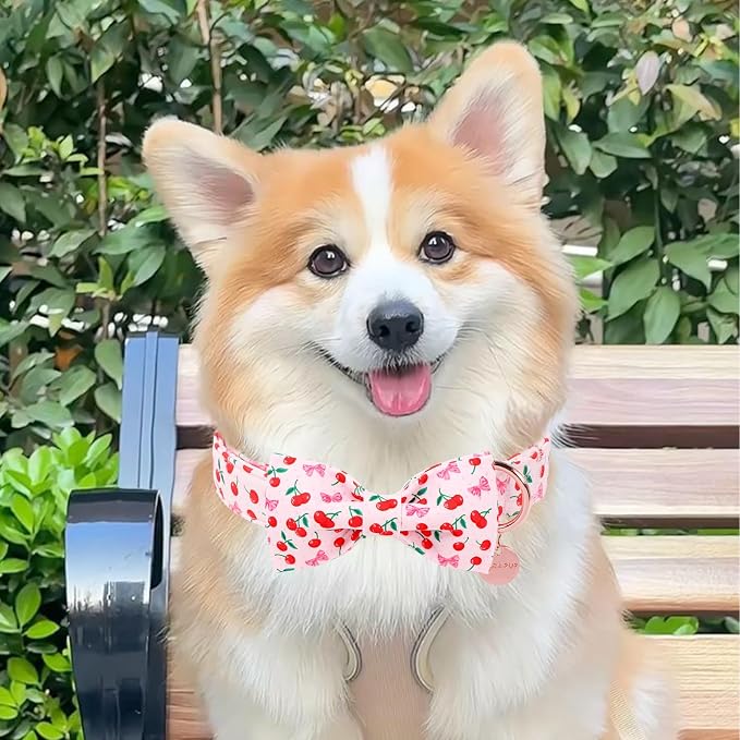 Spring and Summer Dog Collar with Bow Tie, Spring Cherry Bowtie Collar for Girl Boy Dog with Metal Buckle, Pink Bow Collar for Dogs,L