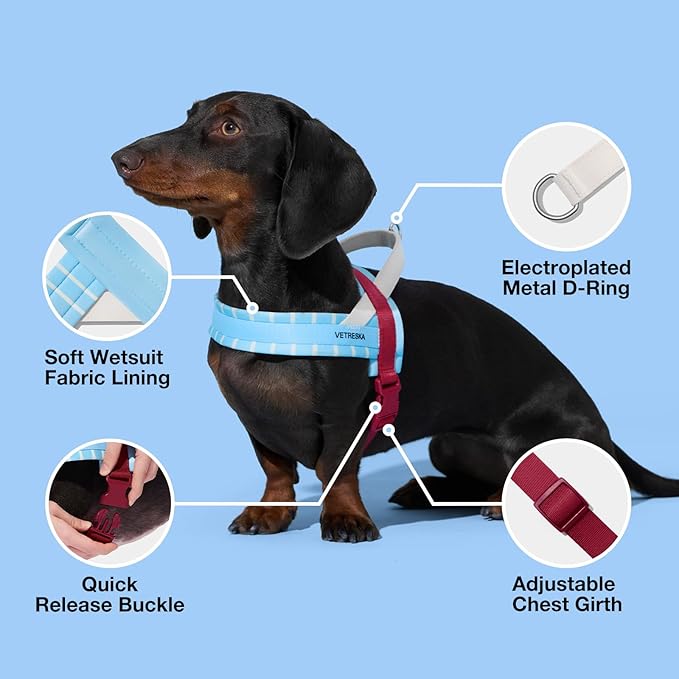 VETRESKA Dog Harness and Leash Set, Puppy Harness Adjustable, Easy Control No Choke Dog Harness for Small, Medium Dogs, Cats, Kitten, Dog Vest Harness with Anti-Tangle Leash, Misty Melo S