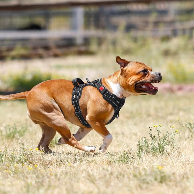 PoyPet No Pull Dog Harness, No Choke Front Lead Dog Reflective Harness, Adjustable Soft Padded Pet Vest with Easy Control Handle for Small to Large Dogs(Black,S)