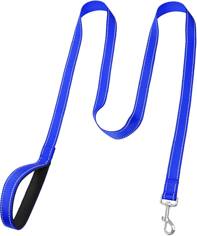FunTags 6FT Royal Blue Reflective Dog Leash for Medium & Small Dogs Walking, Soft Padded Handle Comfortable Grip, Heavy Duty Nylon, Reflective for Night Walking, 3/4in Wide