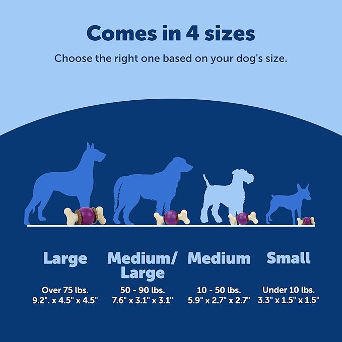 PetSafe Busy Buddy Bouncy Bone, Treat Holding Dog Toy, Medium, Best for Dogs 10-50 Lb.