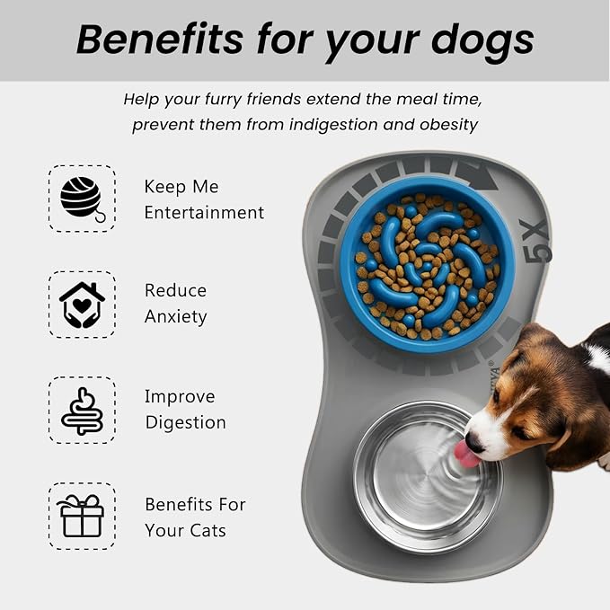 YINEYA 3 in 1 Slow Feeder Dog Bowls & Stainless Steel Food and Water Bowl with Non-Spill Dog Bowl Mat, Anti-Choking Puppy Bowls, Floor Safe & Easy Clean for Large Medium Small Dogs Cats