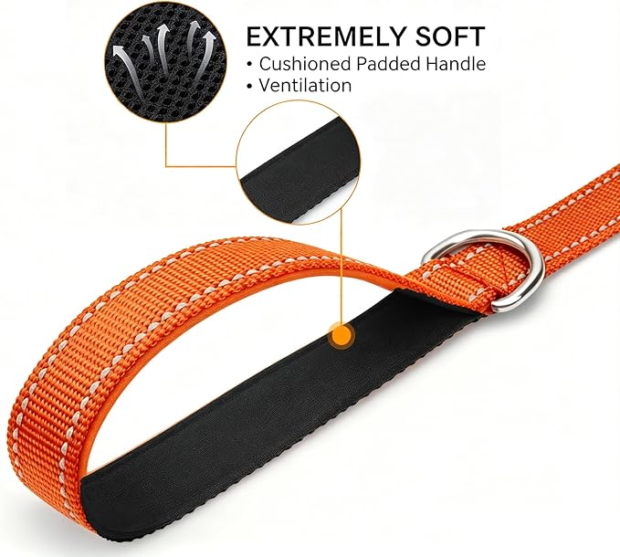6 FT Reflective Dog Leash, Nylon Heavy Duty Leashes with Soft Padded Handle for Small Medium Large Dogs Walking, 1 Inch Wide Orange