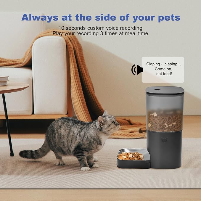 ANDOLL HOME Automatic Cat Feeder, 6L Cat Food Dispenser with 10s Voice Recorder, Pet Feeder up to 8 Meals per Day, Timed Feeder with Dry Food Sealed Ring (Black)