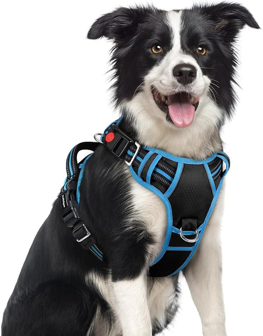 rabbitgoo Dog Harness Medium Sized, 3 Buckles Easy On & Off No Pull Pet Vest, Soft Padded Walking Pet Harness with Control Handle, Adjustable and Reflective, Black & Sky Blue, M