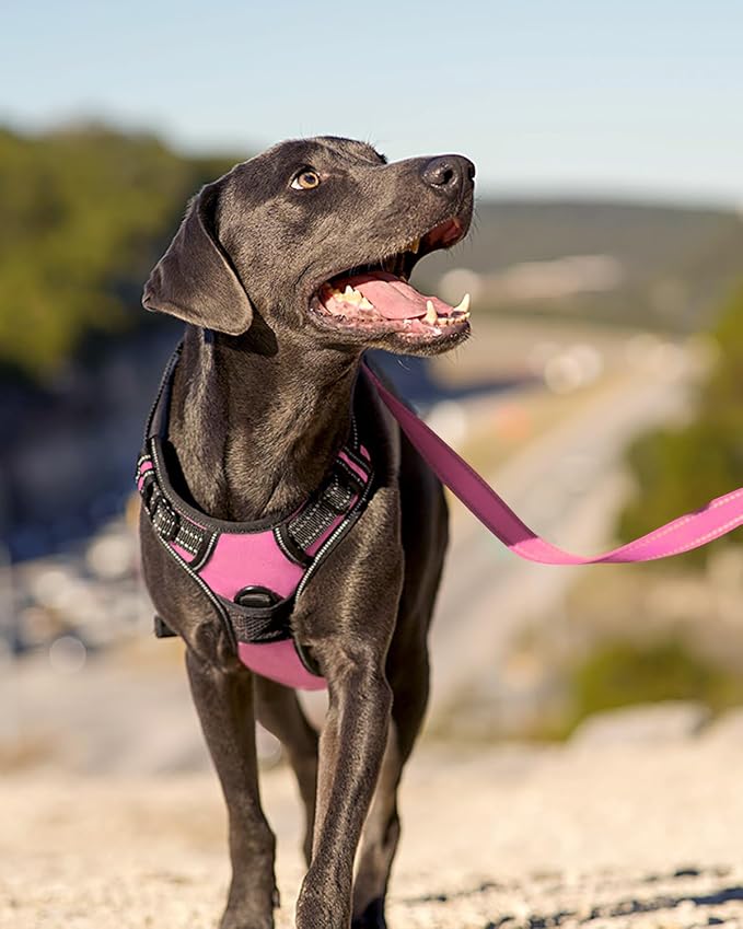 Joytale No Pull Dog Harness for Large Dogs, Reflective Pet Vest with Front Clip, Adjustable Soft Padded Harnesses with Easy Control Handle for Training and Walking, Pink, L
