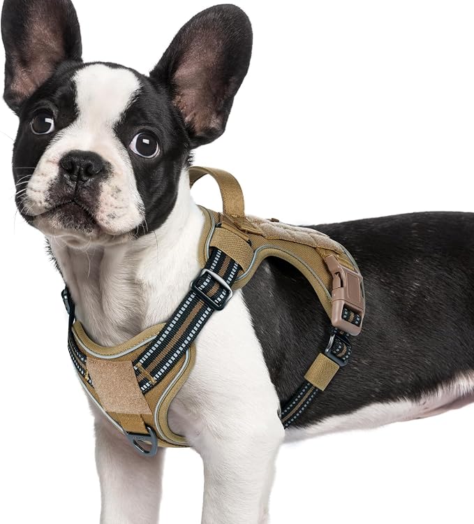 rabbitgoo Tactical Dog Harness for Small Dogs No Pull Adjustable Military Vest with Handle MOLLE Reflective Heavy Duty Dog Vest for Walking Training Hunting Outdoor Working Medium Size Dog Brown S