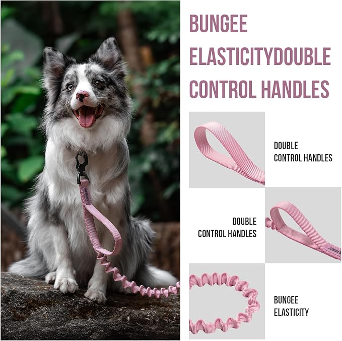 OneTigris Tactical Dog Training Bungee Leash with 2 Control Handle Quick Release Nylon Leads Rope