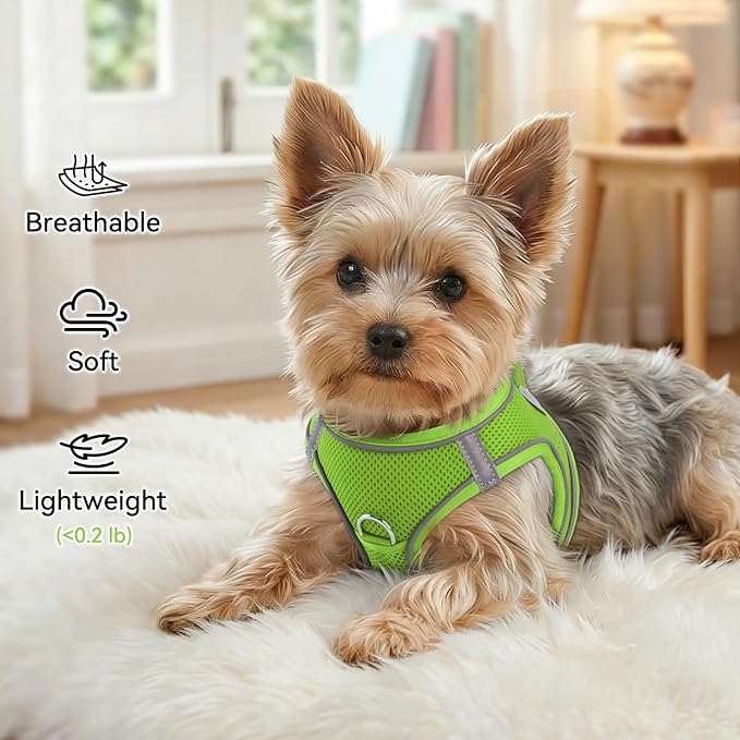 Joytale Small Dog Harness, Breathable Mesh Step-in Vest, Reflective Soft Padded Harnesses for Puppies and Extra Small Dogs, Green, XS