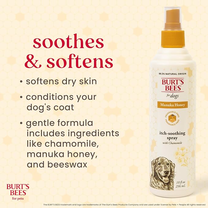 Burt's Bees for Pets Itch Relief Spray for Dogs, Manuka Honey & Chamomile, Soothes Itchy Skin Between Baths, Naturally Derived, No Artificial Fragrances, Sulfates or Colorants, 10 Fl Oz