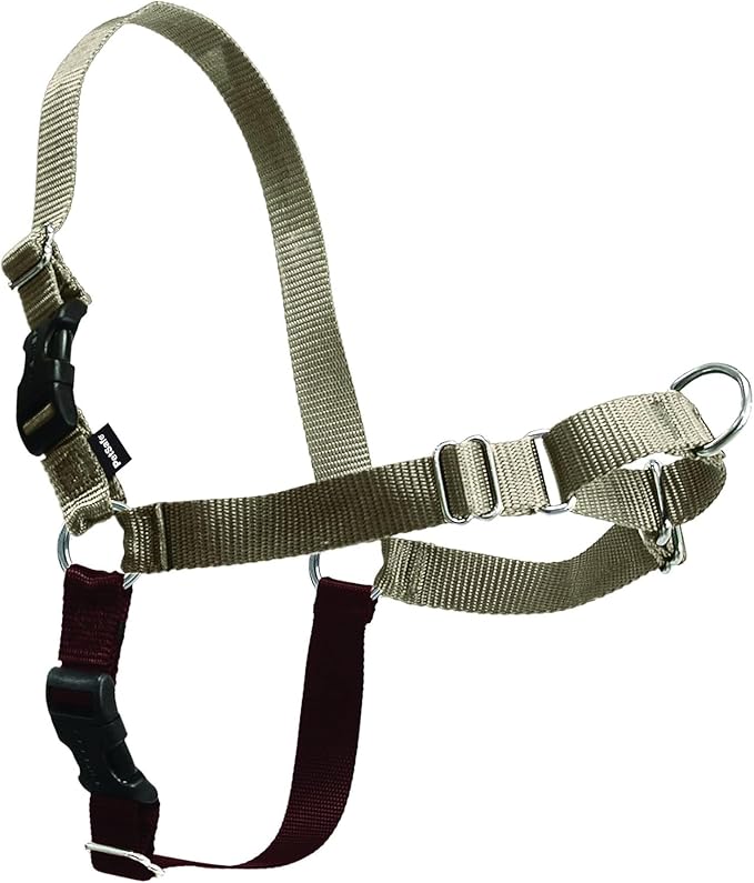 PetSafe Easy Walk No-Pull Dog Harness - Ultimate Harness to Help Stop Pulling - Pull-Free Walks - Take Control & Teach Better Leash Manners - Patented Martingale Loop Design - Fawn, Large