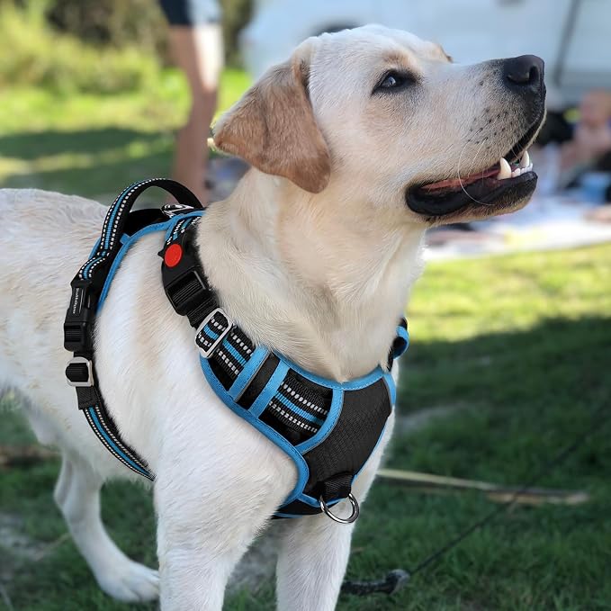 rabbitgoo Dog Harness for Large Dogs, 3 Buckles Easy On & Off No Pull Pet Vest, Soft Padded Walking Pet Harness with Control Handle, Adjustable and Reflective, Black & Sky Blue, L