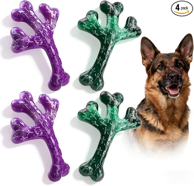 Frienhund 4 Pack (Cactus) Indestructible Tough Dog Toys for Aggressive Chewers: Beef Flavored Chew Bone for Large Dogs 20-90 lbs, Long Lasting & Keep Them Busy