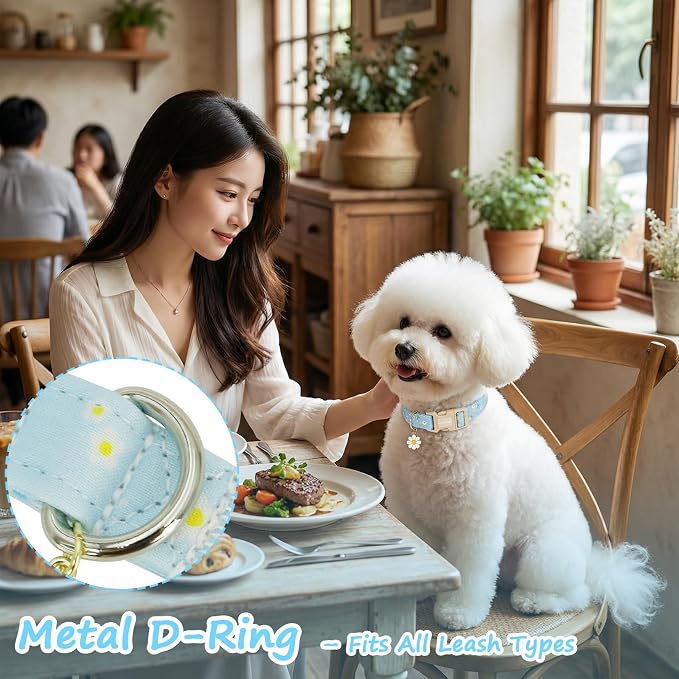 Dog Collar for Small Medium Large Dogs, Spring Blue Dog Collars with White Flowers, Adjustable Cotton Dog Collars, Cute Girl or Boy Dog Collar Ideal for Gifts,Pet Accessory,M