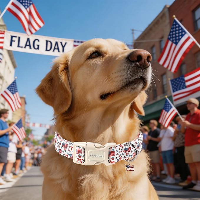 DOGWONG 4th of July Dog Collar, American Flag Dog Collar with Plastic Buckle,Patriotic Dogs Collars for X-Small Puppies Dogs, Neck 8-12 inches