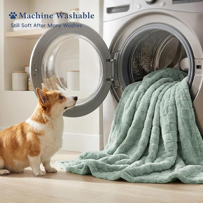 David's Home Large Dog Blankets Washable Pet Bed Cover Twin Size, Soft Fluffy Fuzzy Cat Puppy Blanket with Premium 300GSM Fleece for Pet Kitten Doggy, Aqua Gray, 66 * 90"