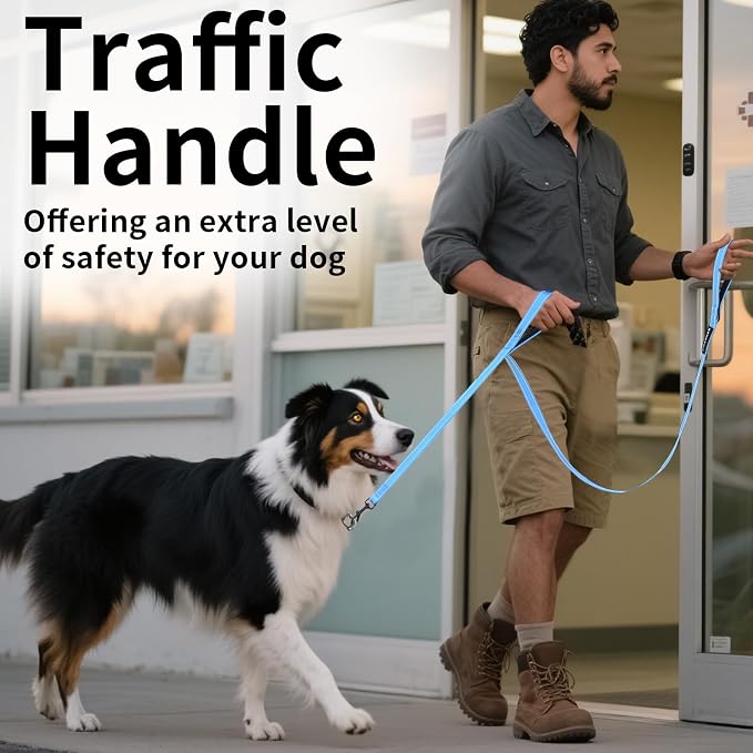 Reflective Dog Leash with Double Handle, Dog Leash 4 FT Long, Supports Medium and Large Dogs, Heavy Duty for Walking, Running, and Training, Blue