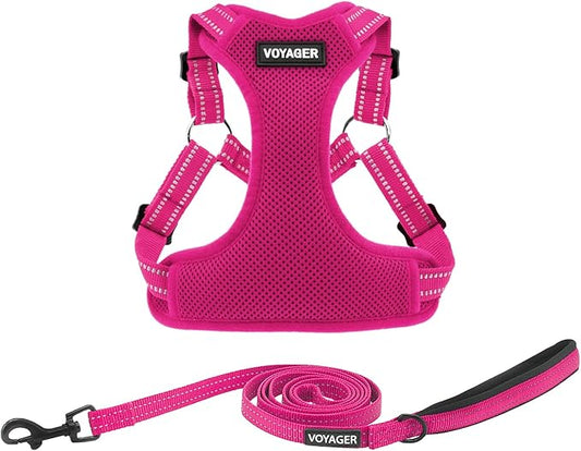 Best Pet Supplies Voyager Adjustable Step-in Flex Breathable Mesh Dog Harness for Small Medium Large Dogs Leash Set (Fuchsia), L
