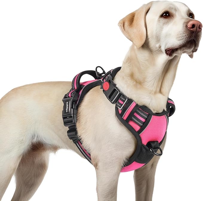rabbitgoo Dog Harness for Large, No Pull Easy On & Off with 3 Buckles Pet Harness, Adjustable Soft Walking Vest with 2 Clips and Handle, Reflective for Large Dogs, Rose Pink, L