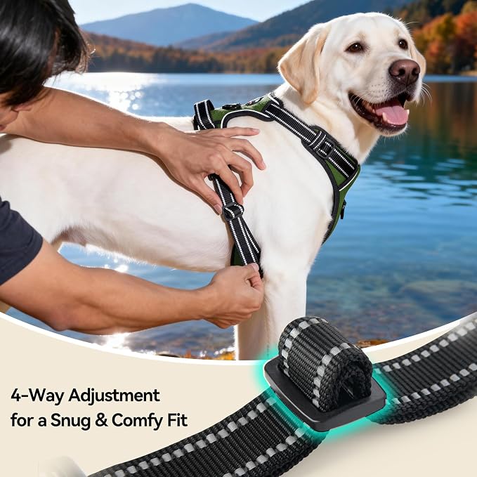 PHOEPET No Pull Dog Harness with Handle Reflective Padded Vest for Small Medium Large Dogs, Adjustable Puppy Harnesses with Front & Back Clip Easy Walking (M, Misty Green)