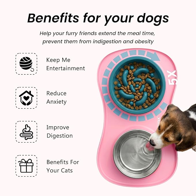 YINEYA 3 in 1 Slow Feeder Dog Bowls & Stainless Steel Food and Water Bowl with Non-Spill Dog Bowl Mat, Anti-Choking Puppy Bowls, Floor Safe & Easy Clean for Large Medium Small Dogs Cats
