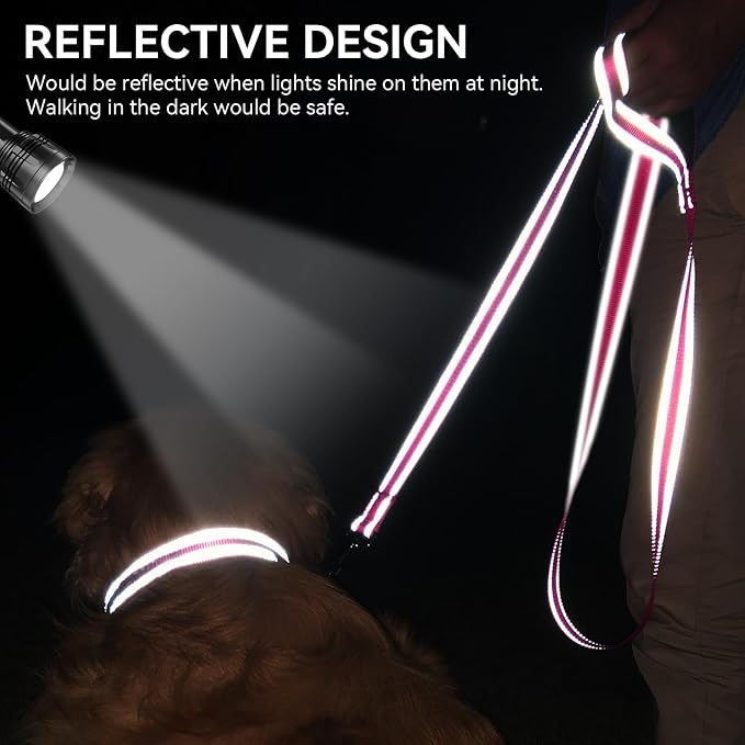 Joytale Dog Leash, 6 FT Double-Sided Reflective, Padded Handle Nylon Heavy Duty Leashes for Medium & Large Dogs Walking, Hotpink