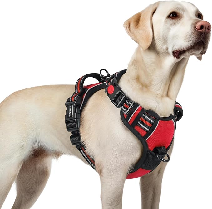 rabbitgoo Dog Harness for Large, No Pull Easy On & Off with 3 Buckles Pet Harness, Adjustable Soft Walking Vest with 2 Clips and Handle, Reflective for Large Dogs, Red, L