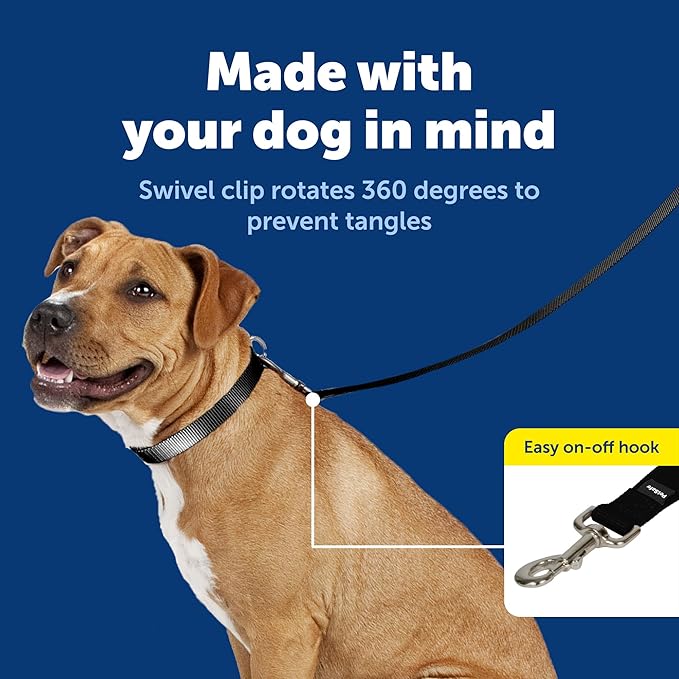 PetSafe Nylon Dog Leash Strong, Durable, Traditional Style Lead with Easy to Use Bolt Snap for Small, Medium and Large Dogs 3/4" x 4', Black
