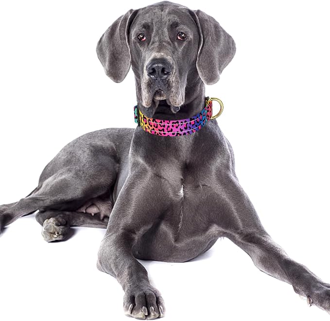 Reflective Dog Collar for Large Dogs, Cute Leopard Style Adjustable Heavy-Duty Nylon Puppy Collar for Boy and Girl Female, Soft Pet Accessories with Quick Release Buckle, Neon