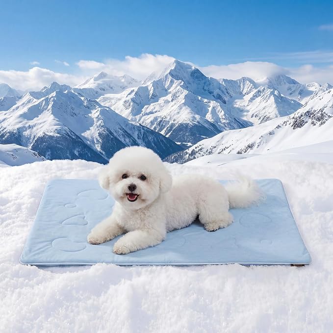 ZOMISIA Cooling Blanket for Small Dogs - Washable Cat Cooling Mat for Hot Weather, Travel Soft Pet Summer Essentials, Blue, 25"x35"