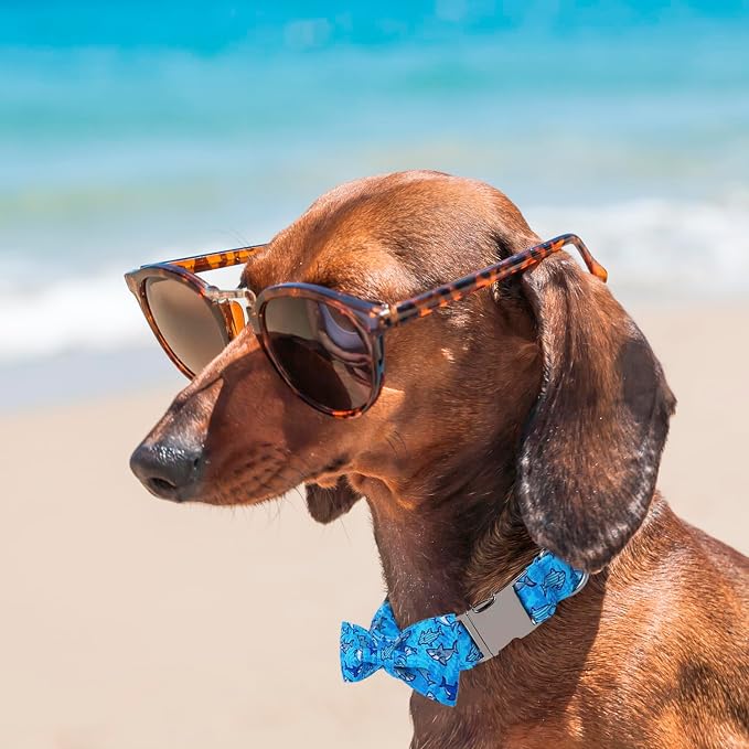 Maca Bates Summer Shark Dog Collar with Bow Tie Cute Blue Puppy Beach Bowtie Collars Sharks Adjustable Durable Soft for Dogs for Girl Boy Male Female Pets with Metal Buckle,Large