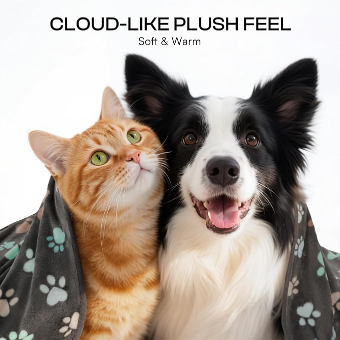 Luciphia 2 Pack 6 Dog Blankets Cat Soft Fluffy Fleece Pet Blanket Warm Cute Print Design Puppy Kitten Doggy Paw Small(23"x16")