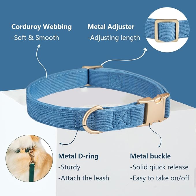 Soft Corduroy Dog Collar and Leash Set Adjustable Durable Dog Collars with Metal Buckle and Lead for Small Dogs,Royal Blue