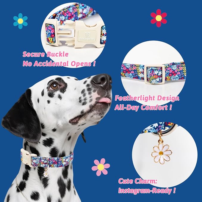 Maca Bates Blue Flower Basic Dog Collar with Flroal Charm for Extra Small Girl Dogs, Dasiy Pattern,Feminine Style,Adjustable Durable Soft Collars Birthday Gift for Female Puppy
