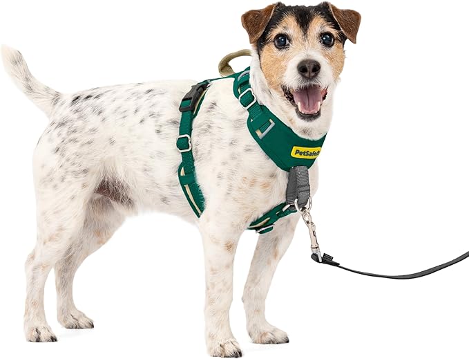PetSafe Easy Walk Comfort No-Pull Dog Harness Full-Body Padding - Better Walks on the First Use - 5 Points of Adjustment Small, Green