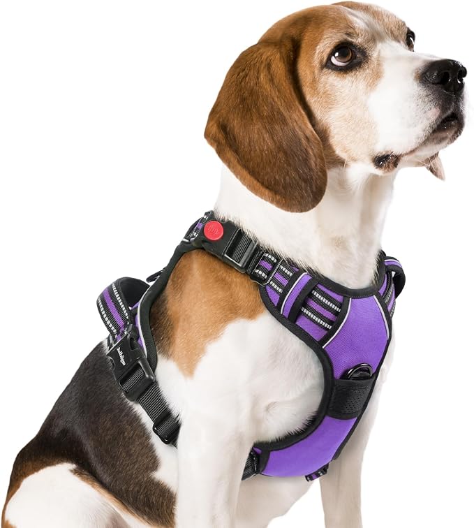 rabbitgoo Dog Harness Medium Sized, No Pull Easy On & Off with 3 Buckles Pet Harness, Adjustable Soft Walking Vest with 2 Clips and Handle, Reflective for Medium Dogs, Purple, M
