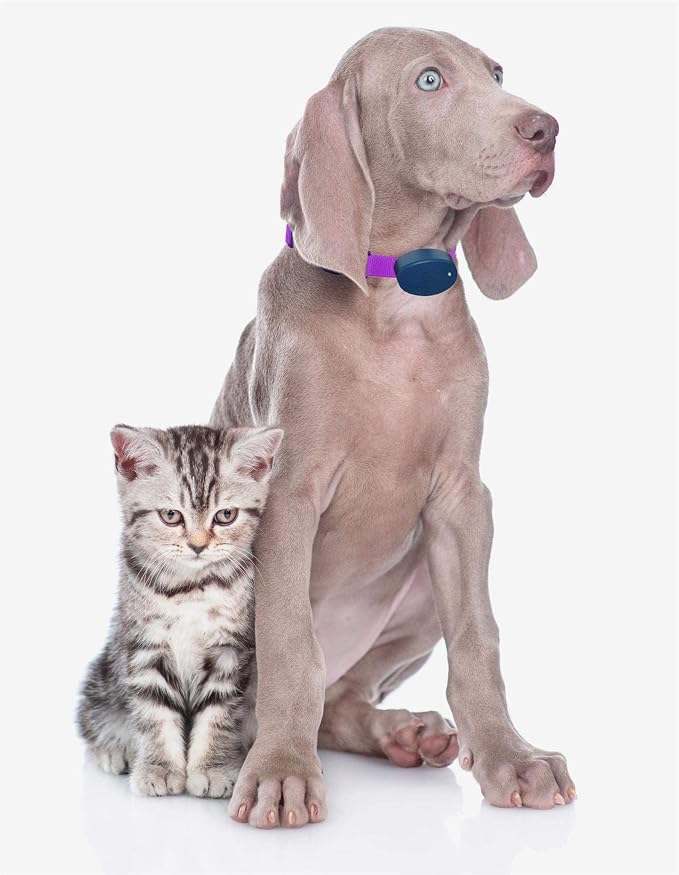 Extreme Dog Fence Dog Collar Replacement Strap - Purple - Compatible with Nearly All Brands and Models of Underground Dog Fences