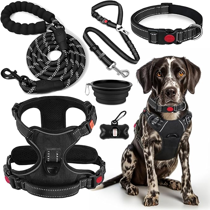 LOBEVE No Pull Dog Harness, Collar & Leash Set | Includes Dog Seat Belt, Collapsible Bowls & Poop Bag Dispenser. Ideal for Training, Walking, Hiking. Fits Small to Large Dogs(Black-XL)