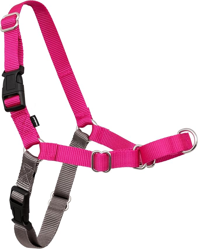 PetSafe Easy Walk No-Pull Dog Harness - Ultimate Harness to Help Stop Pulling - Pull-Free Walks - Take Control & Teach Better Leash Manners - Patented Martingale Loop Design - Raspberry, Medium/Large