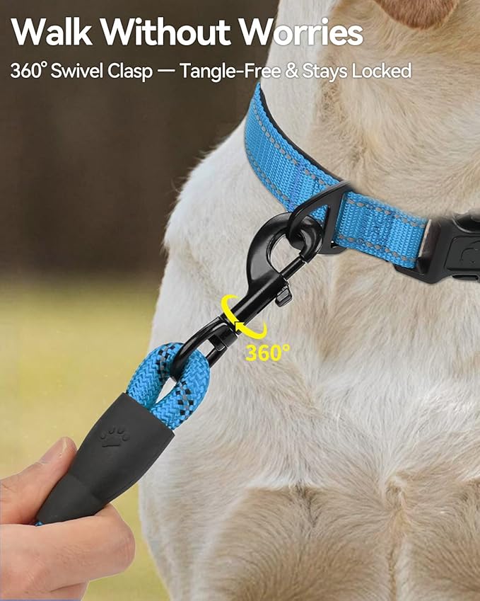 Joytale Dog Leash for Large Dogs, Heavy Duty Nylon Leashes with Comfortable Padded Handle and Highly Reflective Threads, Ideal for Walking and Training, SkyBlue, 6'×1/2''