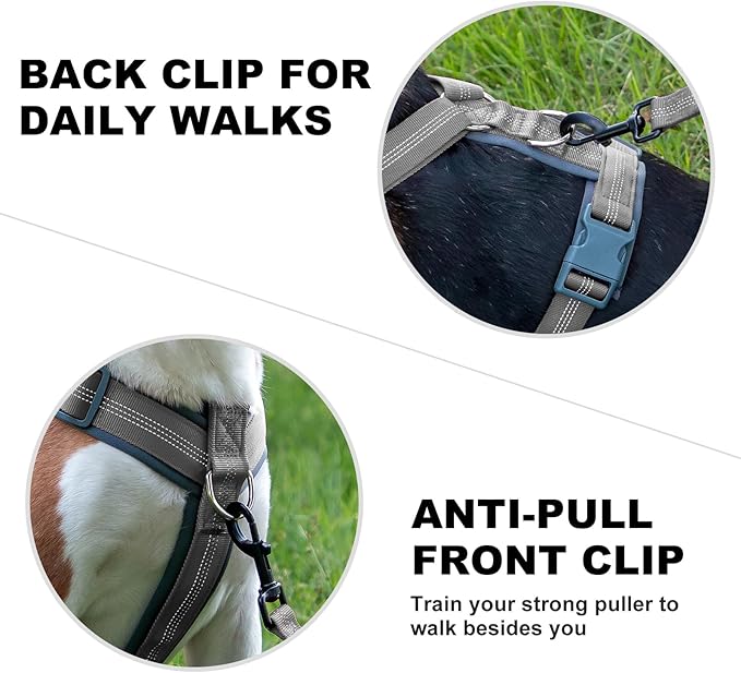 Plutus Pet No Pull Dog Harness, Adjustable Nylon Harness with Soft Padding, Reflective and Heavy Duty Dog Harness for Small, Medium, Large Dogs(Gray, S)