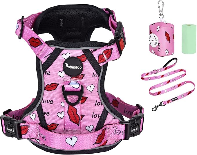 Petmolico No Pull Dog Harness Set with Leash Attachment Easy Control Handle Reflective Harness Vest Small Breed, Puppy Vest and Leash Set with Poop Bag Holder, Small - Red Lips