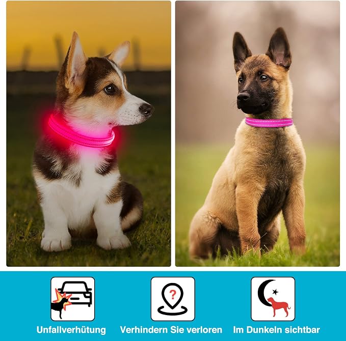 Light Up Dog Collar, Rechargeable USB Collar, Waterproof, Luminous LED Collar, Adjustable, Super Bright, Night Walking for Small Medium Large Dogs, Pink, S
